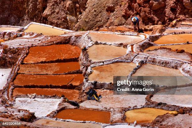 lone unidentifiable miner bending over salinas de maras salt evaporation ponds in cusco region, peru - moray cusco fotografías e imágenes de stock