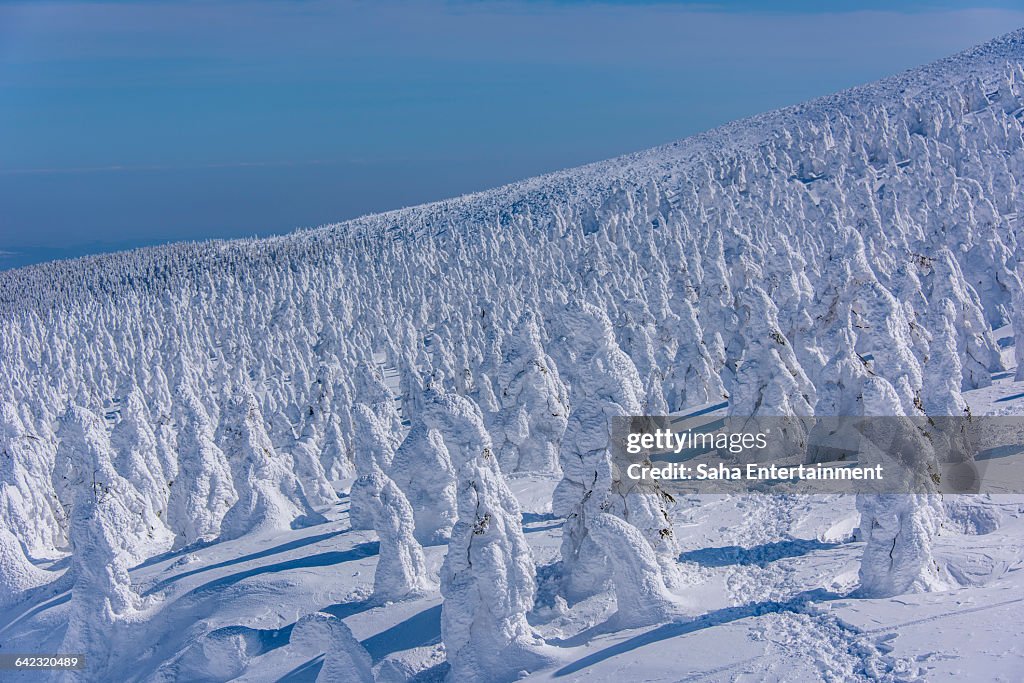 Yamagata Zao Ice Monster