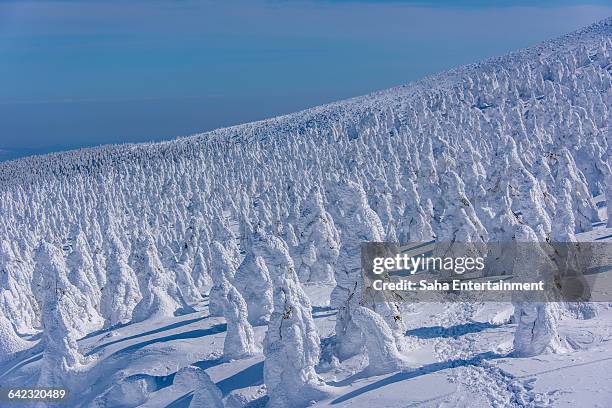 yamagata zao ice monster - miyagi prefecture stock pictures, royalty-free photos & images