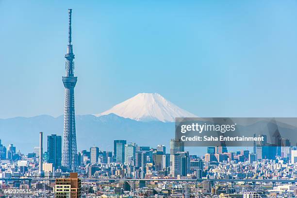 mt fuji & tokyo sky tree - mt fuji fotografías e imágenes de stock