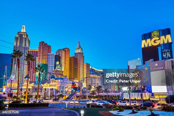 the city of las vegas,nevada,usa - las vegas skyline stock pictures, royalty-free photos & images