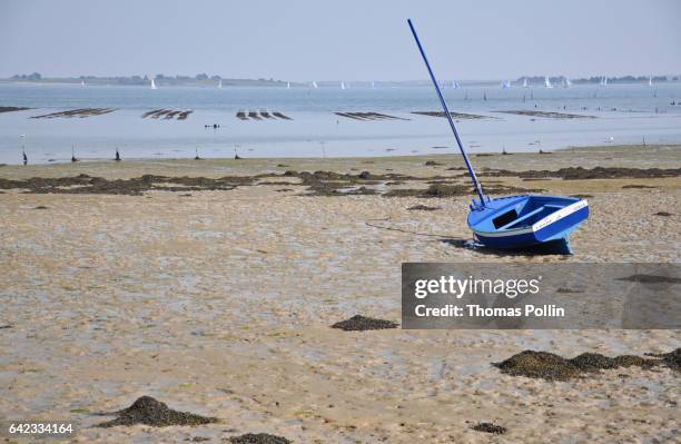 low tide on île-aux-moines - low tide stock pictures, royalty-free photos & images