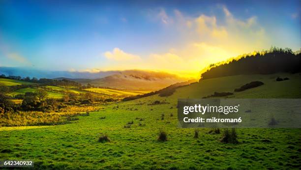 mysterious places in ireland (co. tipperary) an early morning sunrise. - county tipperary imagens e fotografias de stock