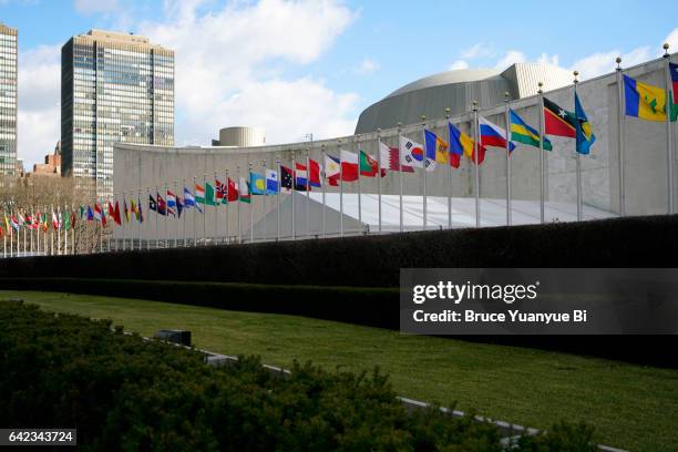 flags of members of united nations with general assembly building in back - united nations stock pictures, royalty-free photos & images