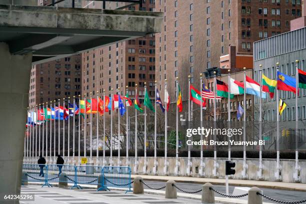 flags of member countries of united nations in un complex - edificio de las naciones unidas fotografías e imágenes de stock