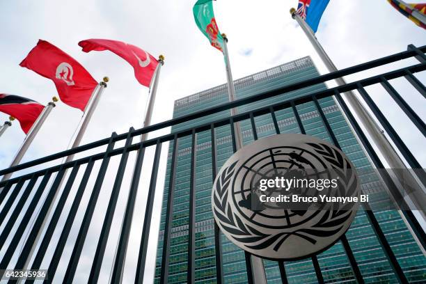 emblem of united nations with un member country flags and secretariat building in the background - organização das nações unidas - fotografias e filmes do acervo