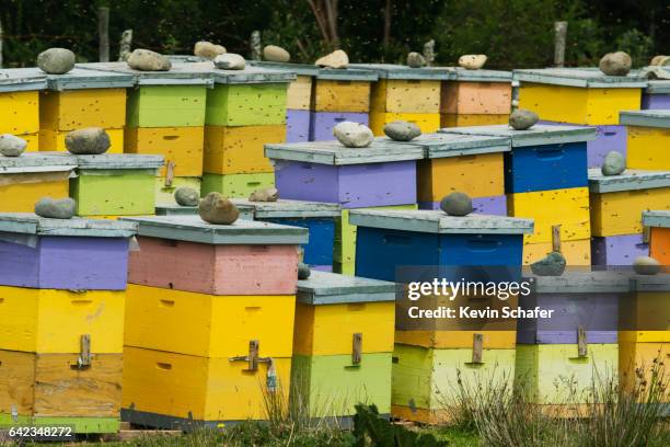 colorful beehives, chiloe island, chile - apiary stock pictures, royalty-free photos & images