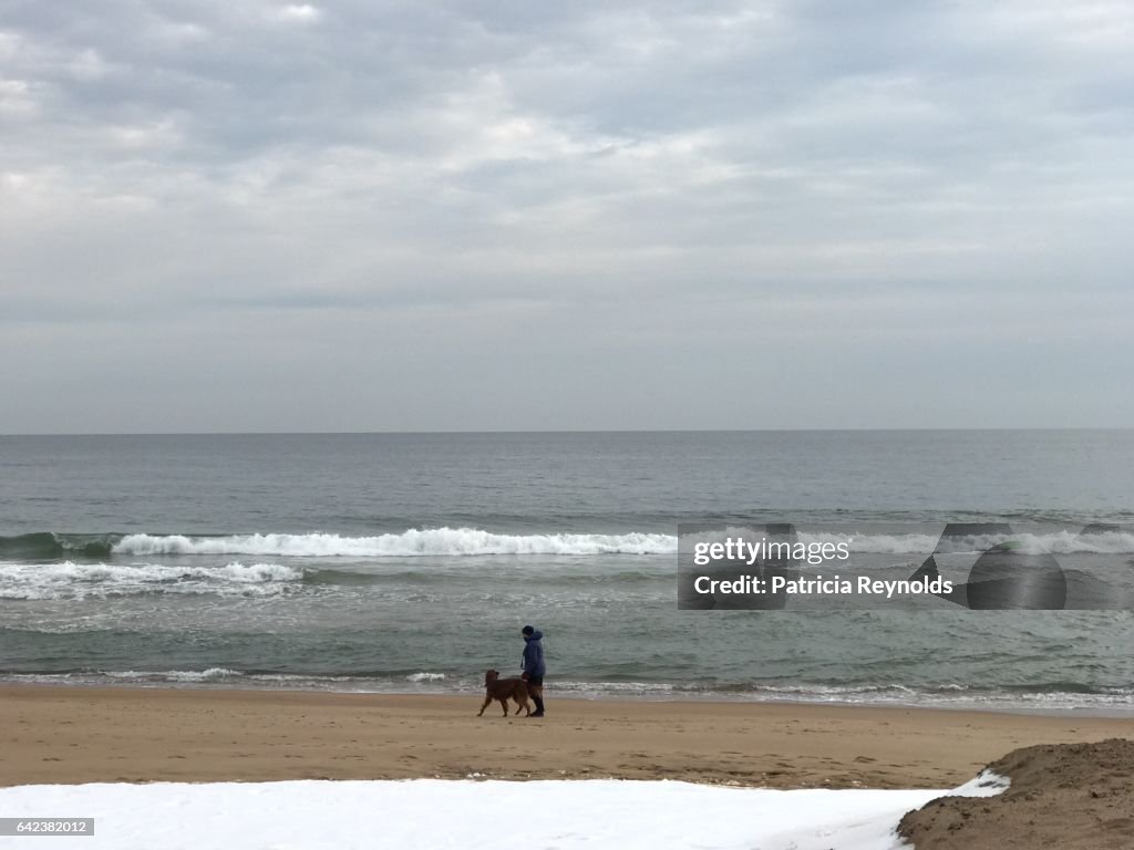 MAN AND DOG WALK WINTER BEACH IN RHODE ISLAND, USA.