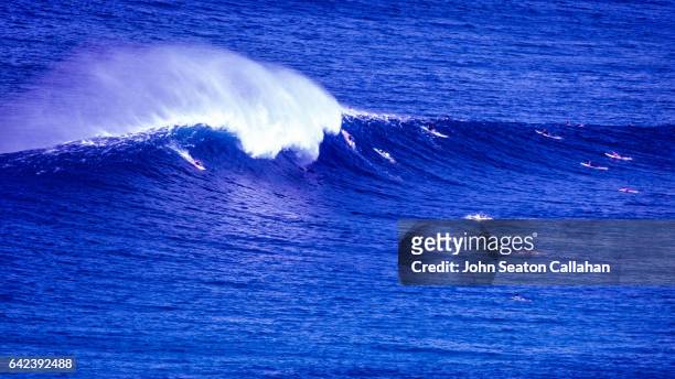 winter surfing at sunset beach - haleiwa fotografías e imágenes de stock