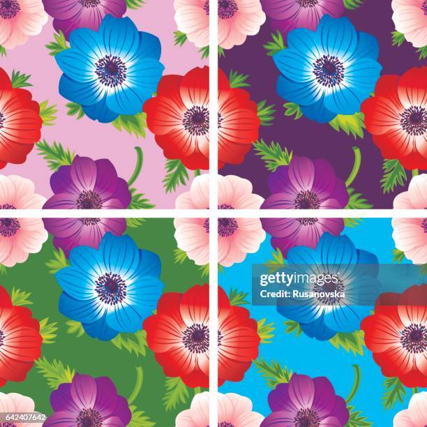 set of anemones patterns - anemone flower arrangements stock illustrations