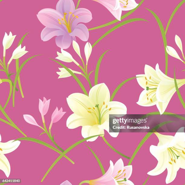white and pink pattern - white lily illustration stock illustrations