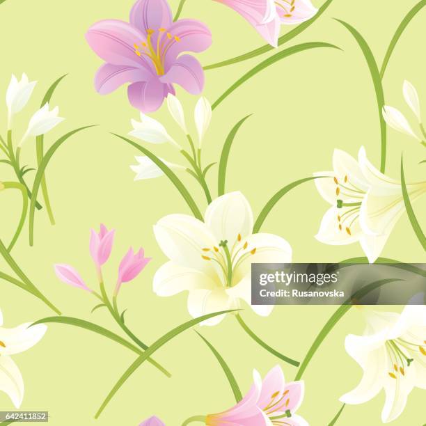 white and pink pattern - white lily illustration stock illustrations