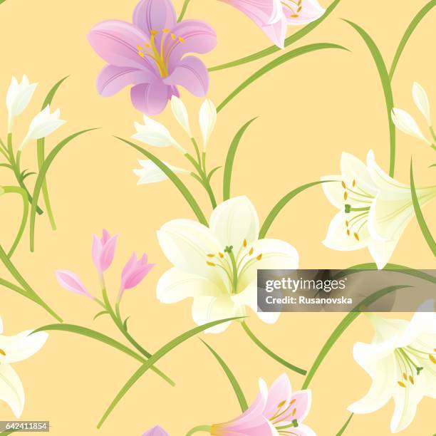white and pink pattern - white lily illustration stock illustrations