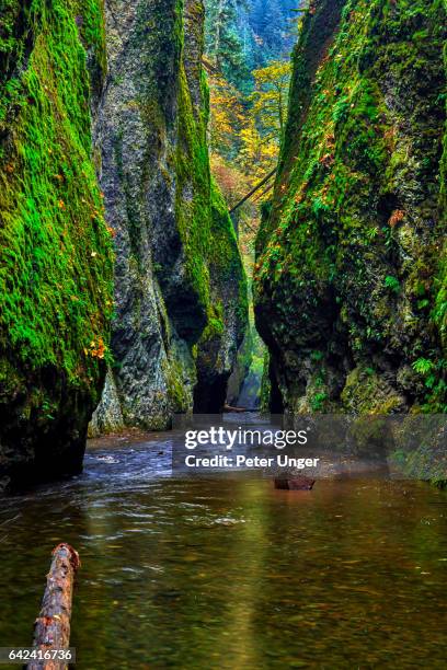 historic columbia river highway,oregon,usa - oneonta gorge stock pictures, royalty-free photos & images