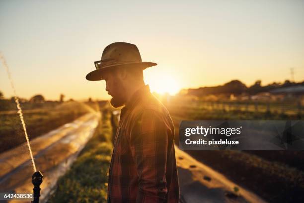 it's been a hard day's work - farmers australia stock pictures, royalty-free photos & images