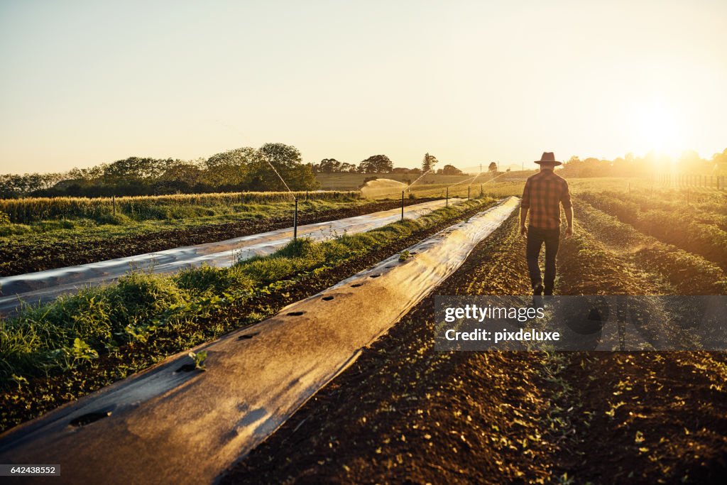 Feeding the world one seedling at a time