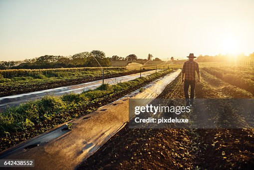 Feeding the world one seedling at a time Feeding the world one seedling at a time