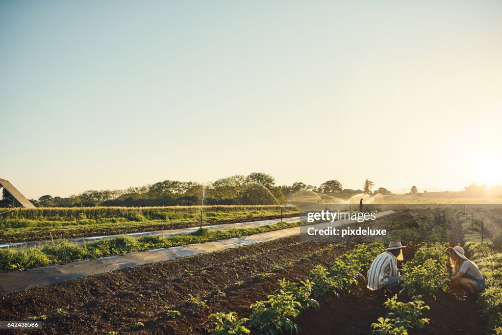 Houden van rust en boerderij op