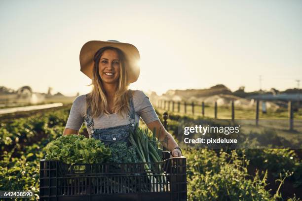 i'm not afraid to get my hands dirty - female farmer stock pictures, royalty-free photos & images