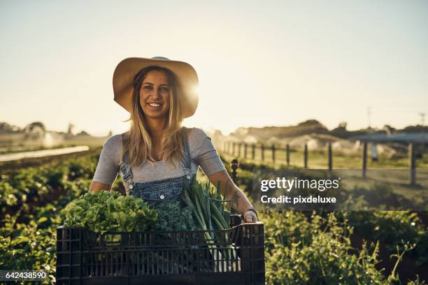 jag är inte rädd att få händerna smutsiga - farmers australia bildbanksfoton och bilder