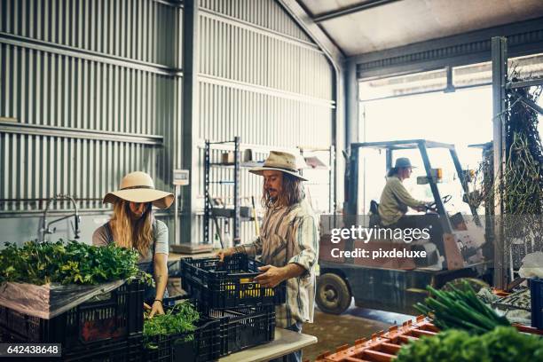 ready to go to market - shed stock pictures, royalty-free photos & images