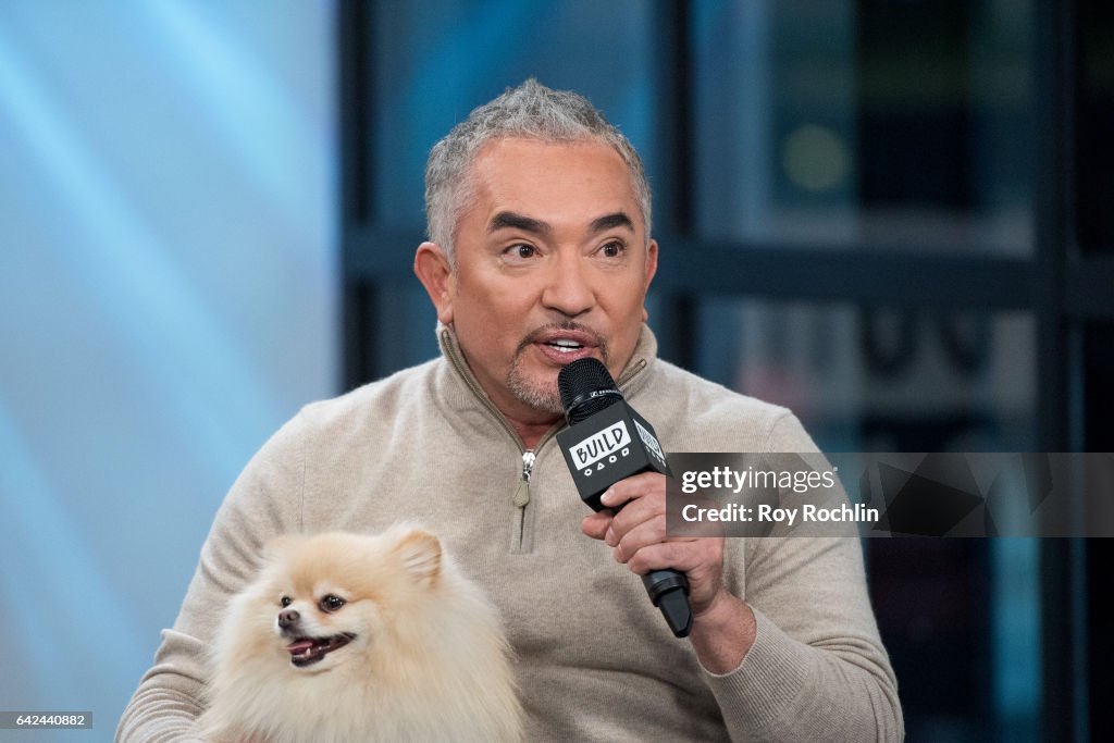 Build Series Presents Cesar Millan and Andrew Millan Discussing "Dog Nation"