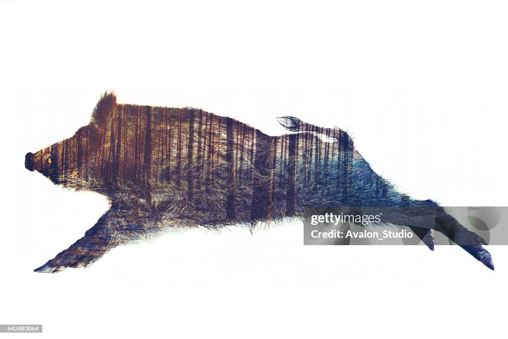 Wild Board Double Exposure
