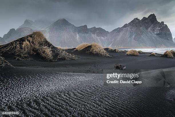 stoksnes beach near hofn in iceland - ijsland stockfoto's en -beelden