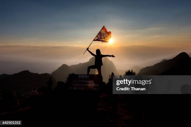 waving flag - vlag planten stockfoto's en -beelden