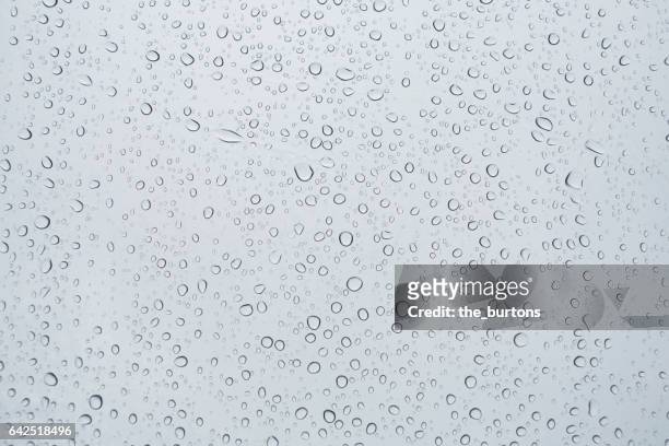 full frame shot of water drops on a window - water photos et images de collection