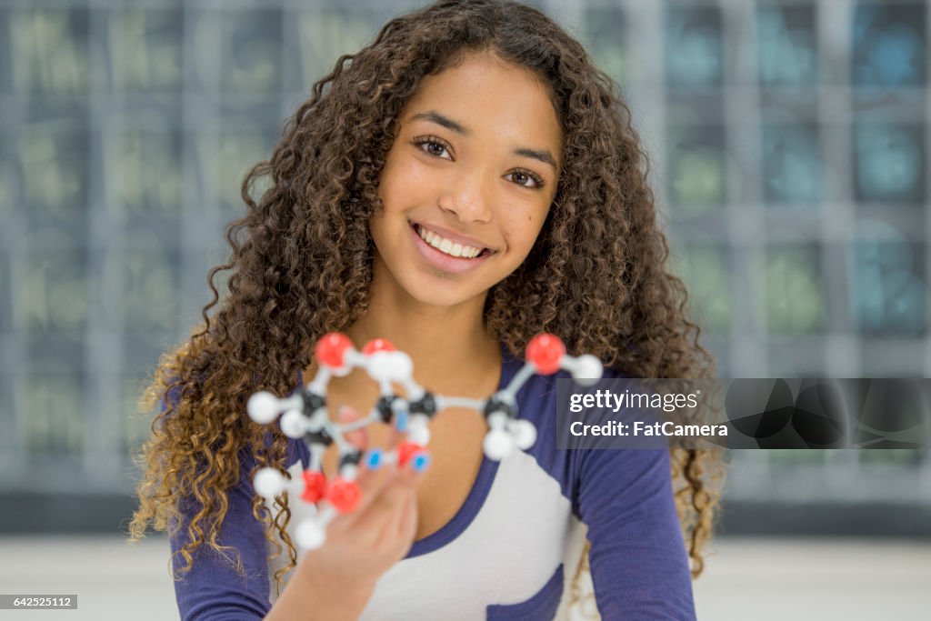 Bouwen van een Model van de chemie