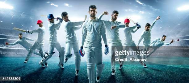 cricket: the game moment - cricket stock pictures, royalty-free photos & images