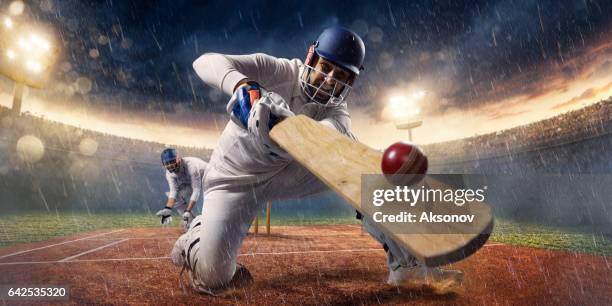 cricket: het spel moment - cricket game stockfoto's en -beelden