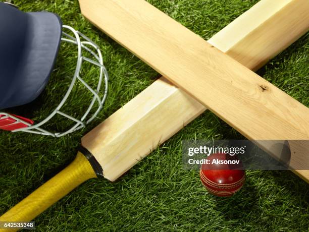the tools for a cricket - sport of cricket imagens e fotografias de stock