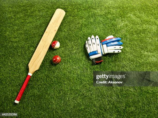 the tools for a cricket - cricket bat stock pictures, royalty-free photos & images