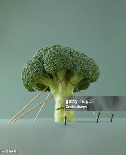 stalk of broccoli being held up by ropes - funny vegetable stockfoto's en -beelden
