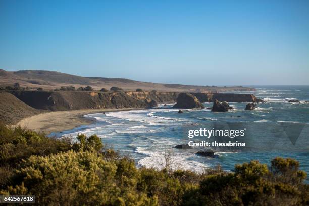 monterey bay - monterey california stock pictures, royalty-free photos & images