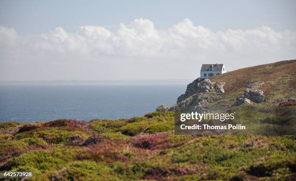 breton style cliff house and heather land - ocean cliff house stock pictures, royalty-free photos & images