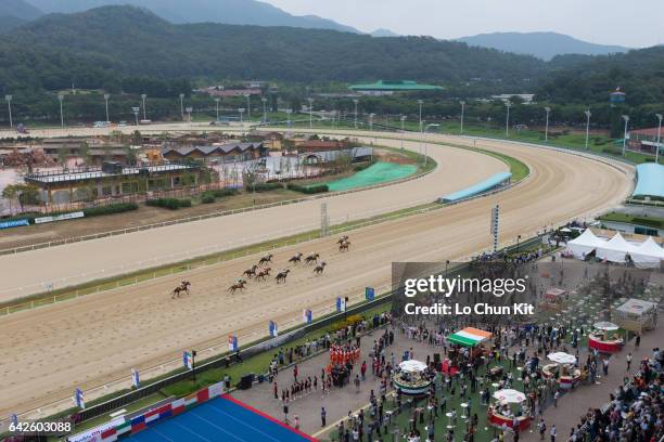 Korean Racing Korea Horse Racing Photos and Premium High Res Pictures - Getty Images