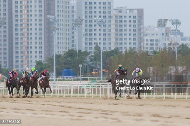 Jockeys compete the Race 8 The Keeneland Korea Sprint at Seoul Racecourse on September 11, 2016 in Seoul, South Korea. It is the first time Korea...