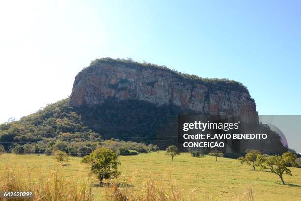 mountain on the way to the pantanal brazil - árvore stock-fotos und bilder