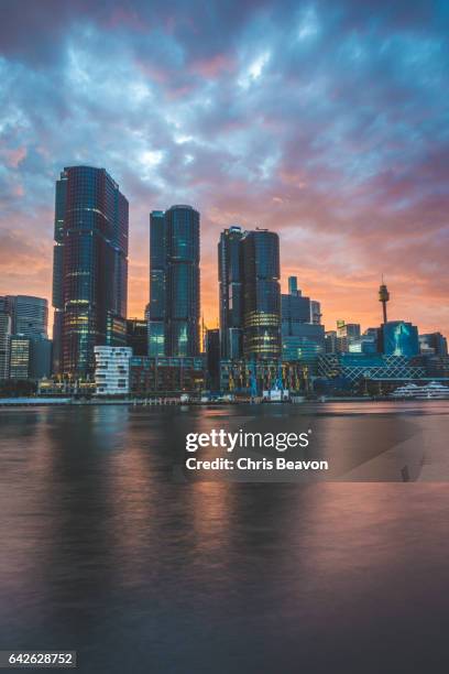 barangaroo at dawn - portrait - barangaroo stock pictures, royalty-free photos & images