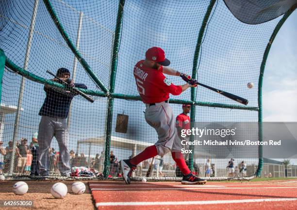 Dustin Pedroia of the Boston Red Sox takes batting practice on February 18, 2017 at jetBlue Park in Fort Myers, Florida.