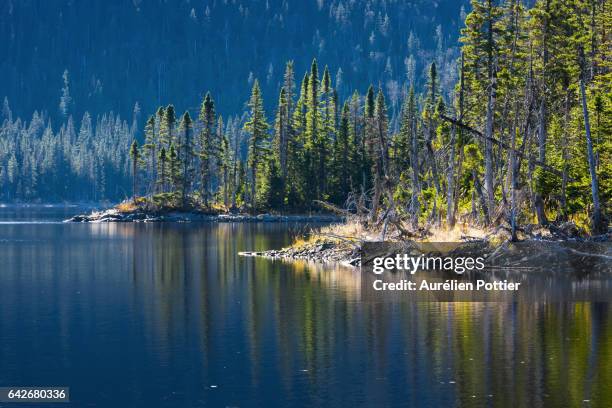 lake gouache - parc national de la gaspésie stock pictures, royalty-free photos & images