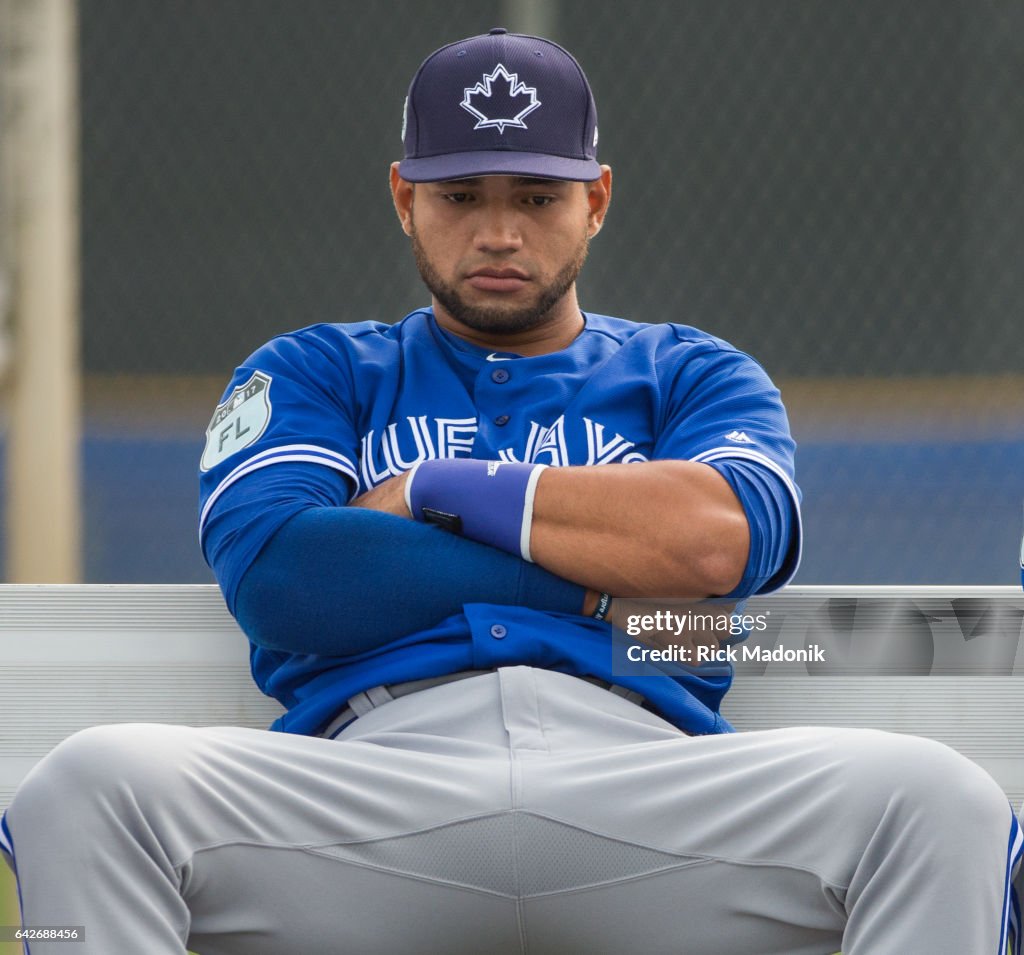 Toronto Blue Jays welcome