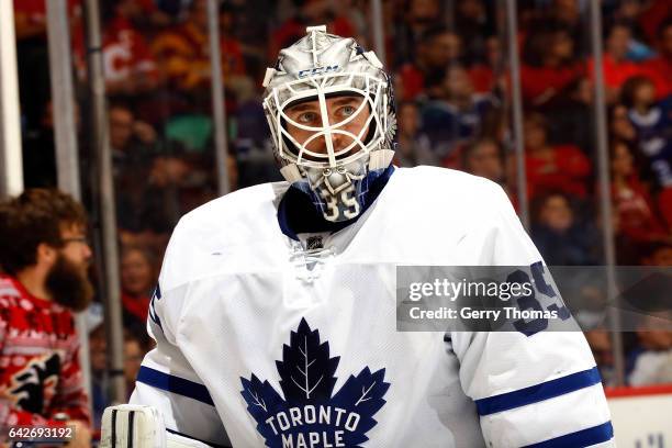 Jonas Enroth of the Toronto Maple Leafs skates against the Calgary Flames during an NHL game on November 30, 2016 at the Scotiabank Saddledome in...