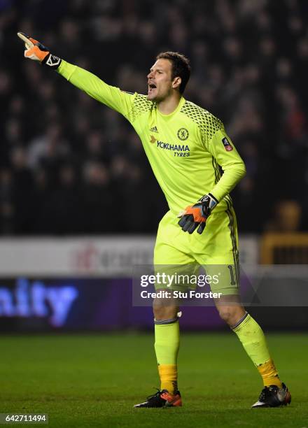 Chelsea goalkeeper Asmir Begovic reacts during The Emirates FA Cup Fifth Round match between Wolverhampton Wanderers and Chelsea at Molineux on...