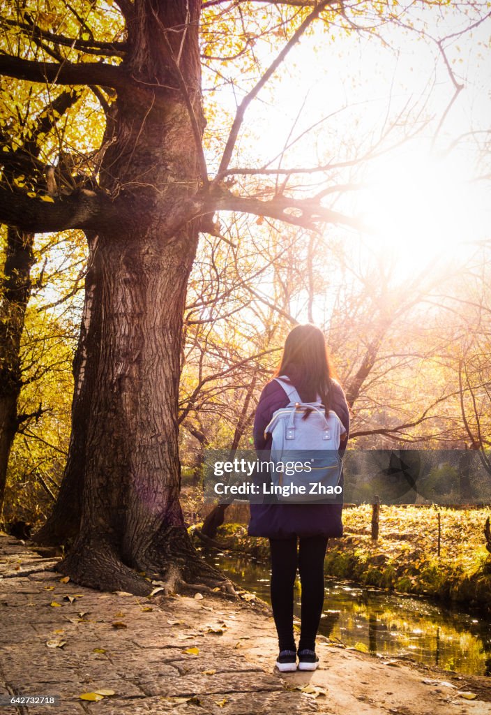 Young woman walking in the woods