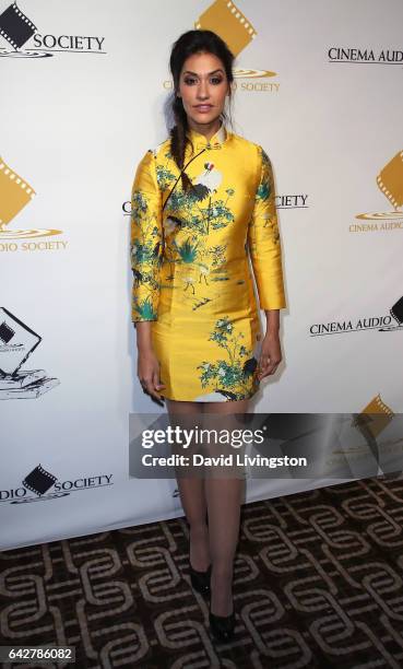 Actress Janina Gavankar attends the 53rd Annual Cinema Audio Society Awards at Omni Los Angeles Hotel at California Plaza on February 18, 2017 in Los...