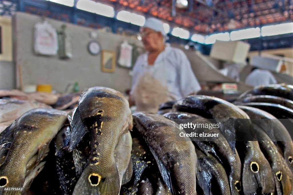 Working in Brazil at the fish market.